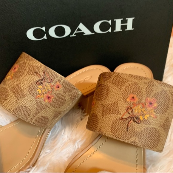 Coach Mae Mule Sig Pra Heel - Picture 9 of 16